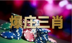 999030搜全国网吧V